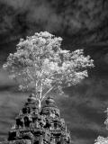 Banteay Srey.