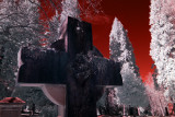 Riverview Cemetery