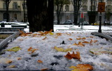 Turin - Italy -  Snow
