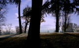 Turin -   Italy - First snow