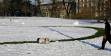 Turin - Italy -  Snow