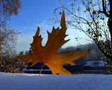 Turin - Italy -  Snow