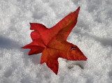 Turin - Italy -  Snow