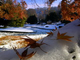 Turin -   Italy - First snow