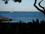 Ostuni Italy - The sea