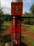 Red man