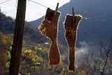 Washday scenes