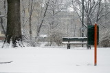 Turin - Italy -  Snow
