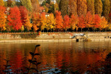 Turin -River Po