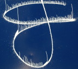Blue abstract