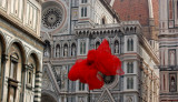 Florence -  Italy - Hands in the Cathedral square