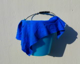 two bleu