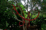 Red tube