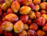 Orange plum