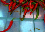 Red chilli