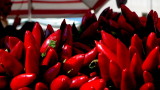 Red chilli