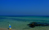 New on the beach