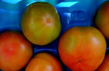 Tomatoes