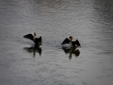 Lago Avigliana - Turin
