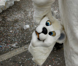 Carnival_Turin - Italy