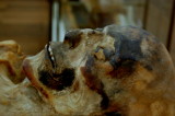 Egyptian Museum - Turin  - Mummie