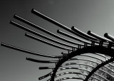 Lines b&w