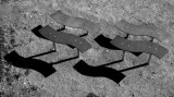 Shadows
