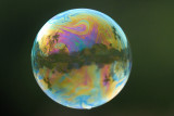 April  14  Life in a bubble