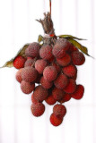 June 21  Lychees