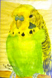 Sept 21  Happy Bird-day Nathan!!