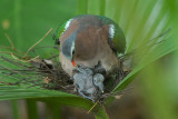 Oct 17  A Mothers touch