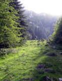00 A l'orée du Parc National dans la Vallée d'Ossau