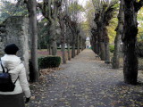 Allée du parc du cimetière de Picpus
