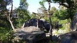 DSC02716