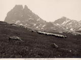 Ossau, des environs des lacs dAyous