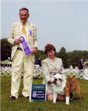 Litter #1 Santino Winners Dog 2 points,,,,1st time in the ring