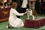 Angus at Westminster 2008