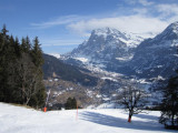 IMG_0036 (Large).jpg