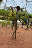 Eden Project