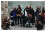 19 February <br>London Pbase Meet
