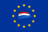 europeanflag copy.jpg