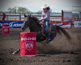 One of Many Barrel Racers