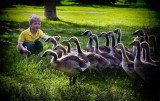 A Boy and His Birds