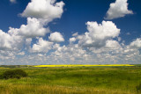 The Prairies of Alberta