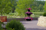 Solitude at the Park