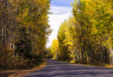 Poplar Bay in the Fall