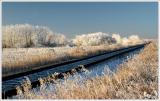 Frost and Rails