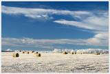 Round Bails on the Prairie