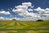 Alberta Hay Fields 06
