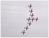 Snowbirds in Formation